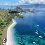 Komodo Full Day Speedboat Tour from Labuan Bajo
